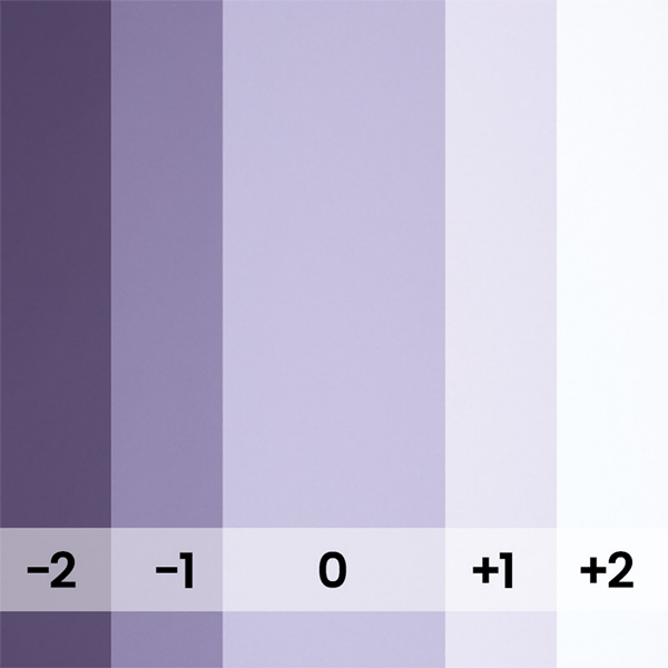 FOND PAPIER N133 VIOLET 2.75 X 11M - 2