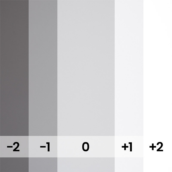 FOND PAPIER N150 STEEL GRAY 2.75 X 11M-ARRET-RECOMMANDE 170 - 2