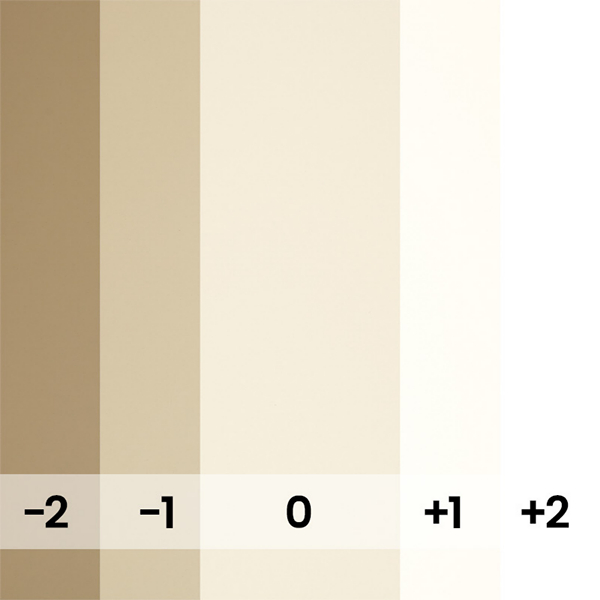 FOND PAPIER N155 IVORY 2.75 X 11M-ARRET- RECOMMANDE 106 - 2