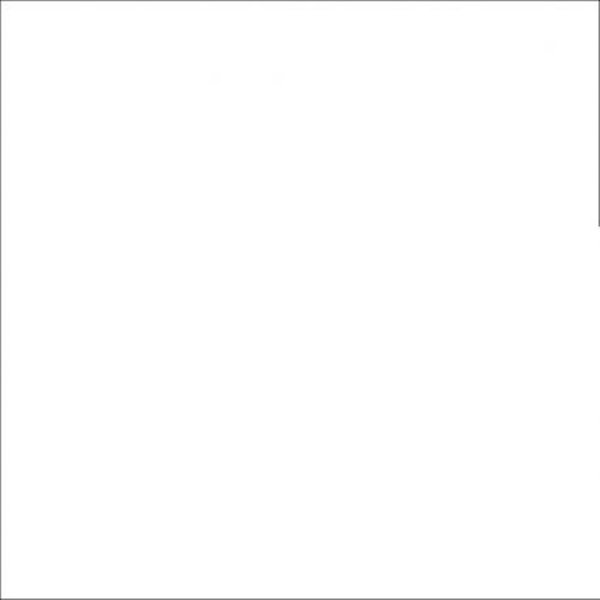 FOND PAPIER N166 PURE WHITE 2.72 M X 11 M - 2