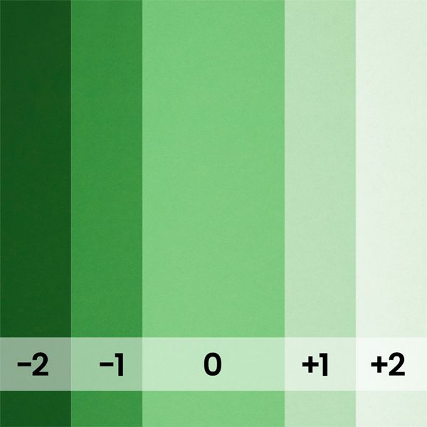 FOND PAPIER N132 VERI GREEN 3M55 x 30M - 3