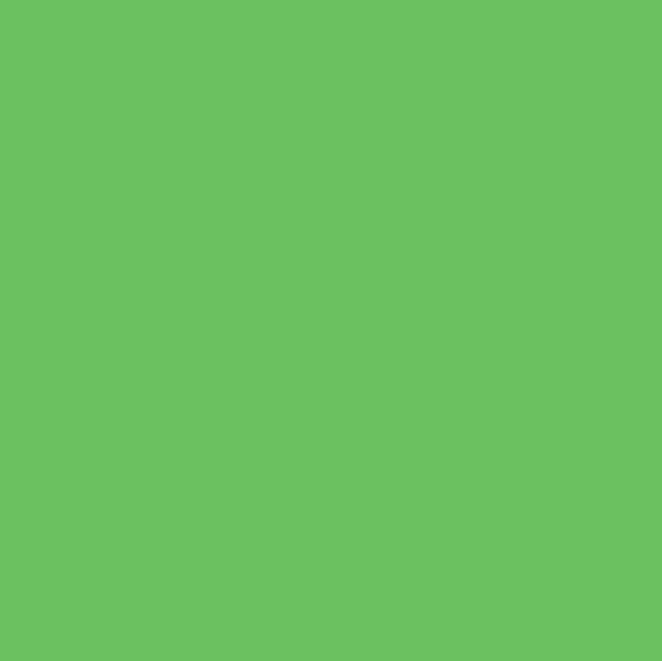 FOND PAPIER N132 VERI GREEN 3M55 x 30M - 2