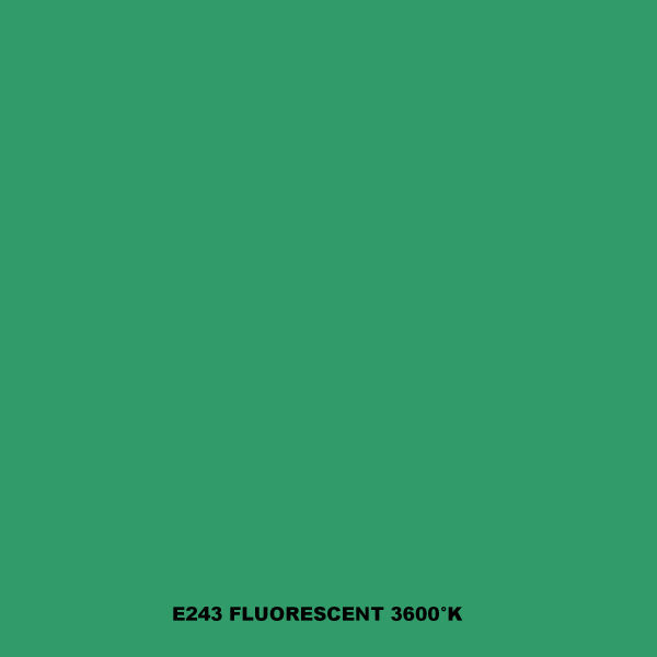 FLUORESCENT 3600�K Rouleau